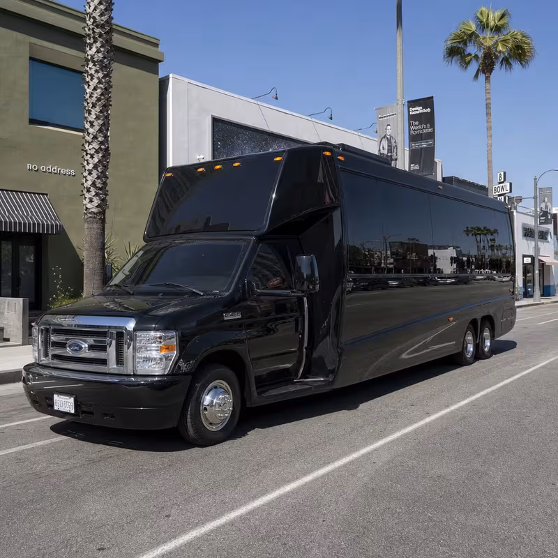 20 Passenger Party Bus