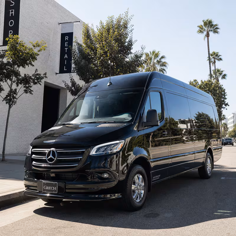14 Passenger Sprinter Limo