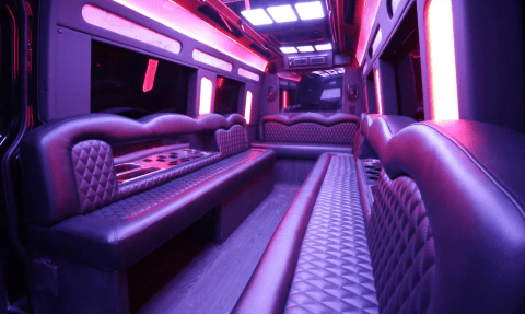 Oxnard 14 Passenger Sprinter Bus Interior