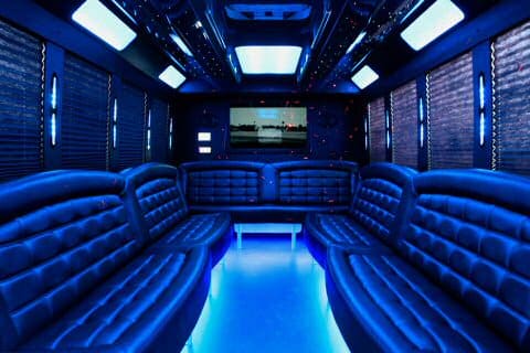 Palm Springs 36 Passenger Party Bus Interior